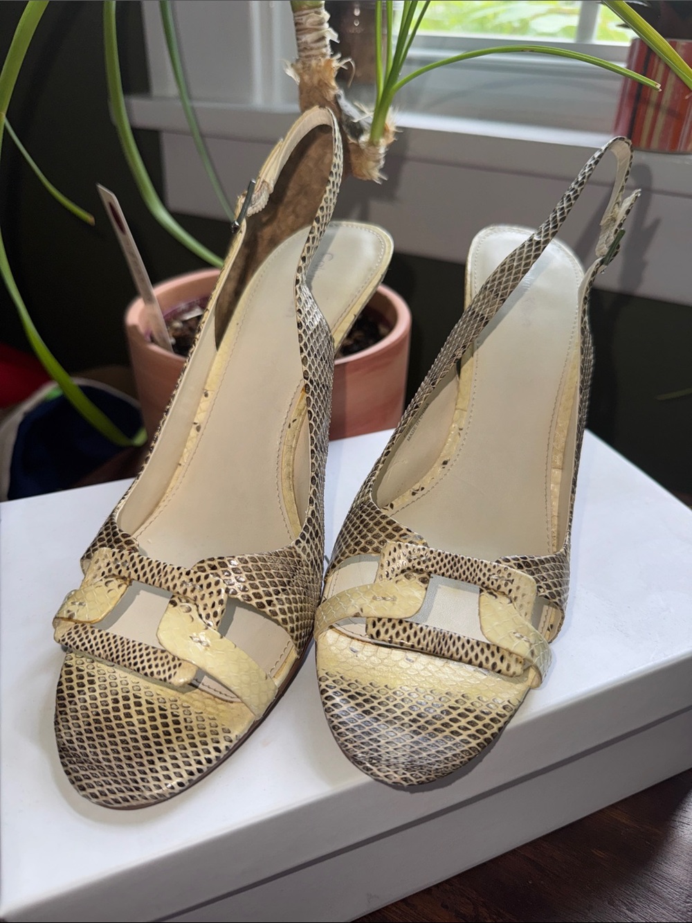 Calvin Klein Beige Snakeskin-Print Slingback Heels